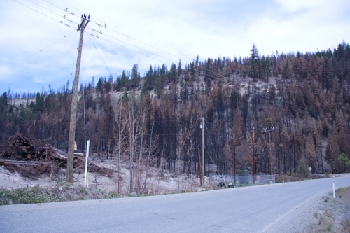 This is some of the devastation from the 2009 Tyaughton Lake Fire.